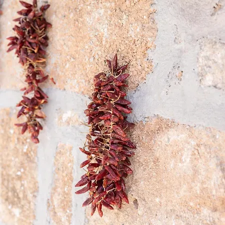 Eco Holidays House Races Fasnia