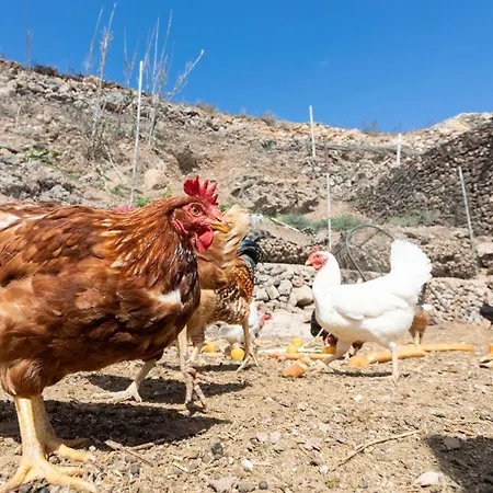 Appartamento Eco Holidays House Races *