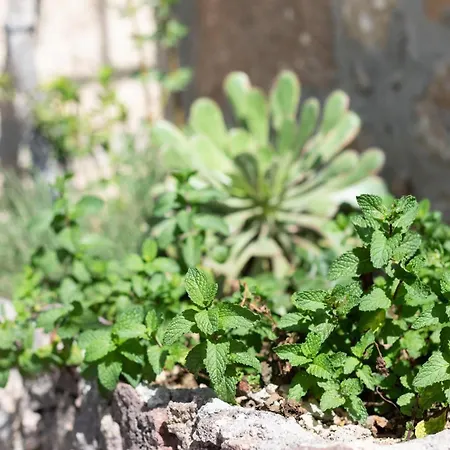 Appartamento Eco Holidays House Races *