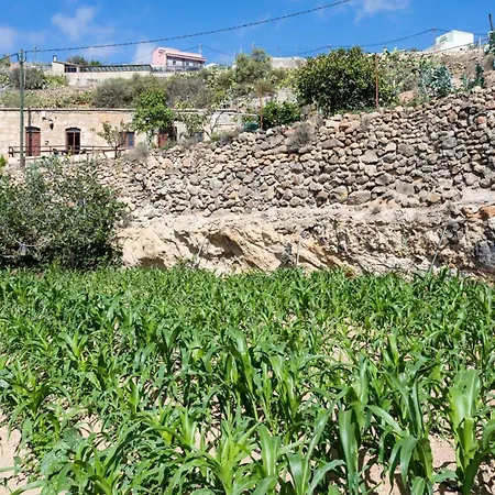 Eco Holidays House Races *