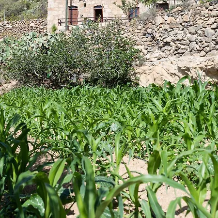 Appartamento Eco Holidays House Races *