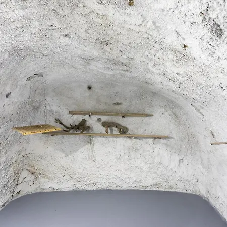 Eco Holidays House Races *