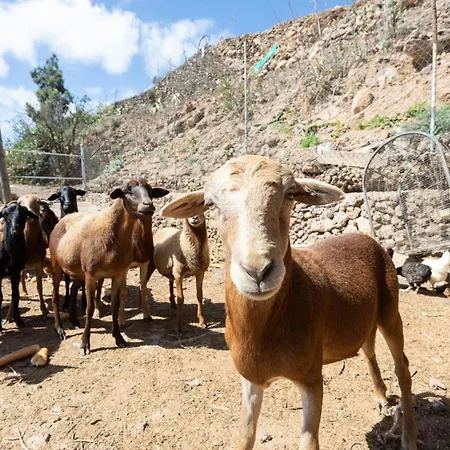 Eco Holidays House Races